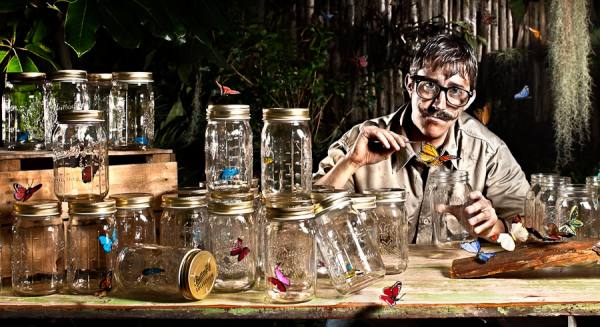 Photograph John Myers Butterfly Catcher on One Eyeland