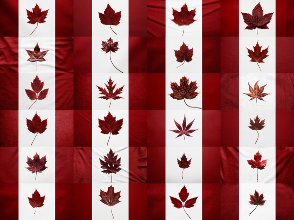 Photograph Ian Pool Canada Day on One Eyeland