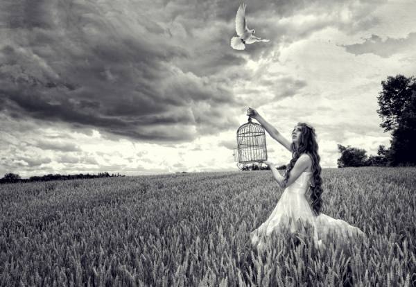 Photograph Michele Taras Dove Release on One Eyeland