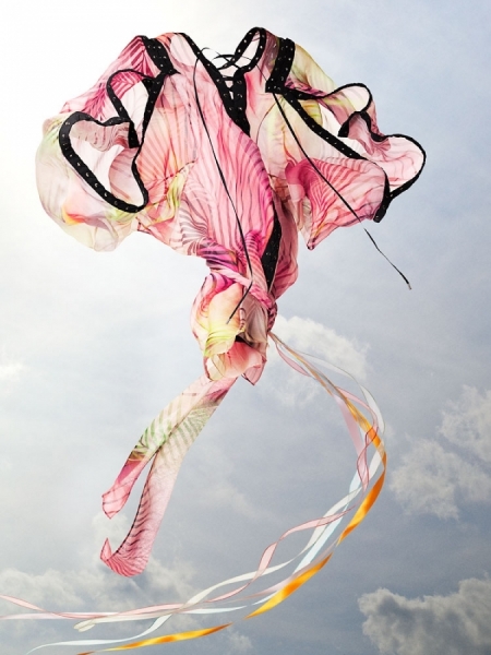 Photograph Gisel Florez Gisel Florez Studio Inc on One Eyeland