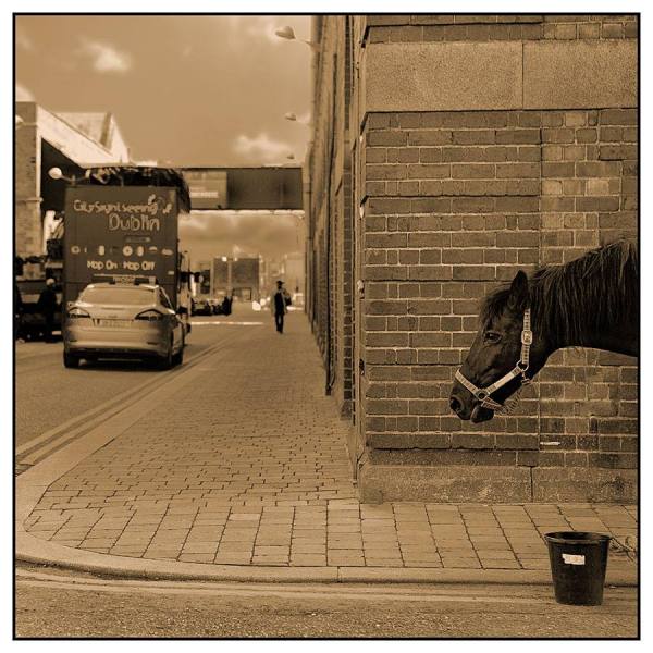 Photograph Shane Mccarthy Head on One Eyeland