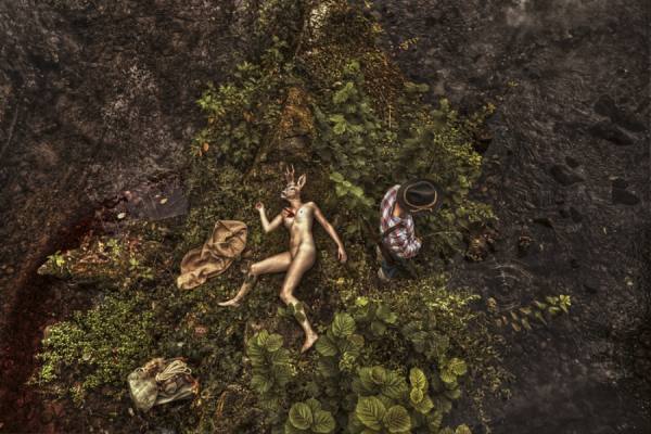 Photograph Lorenz Walter Innocent Deer on One Eyeland