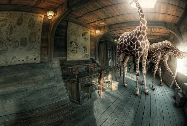 Photograph Jeannette Oerlemans Noach S Ark on One Eyeland