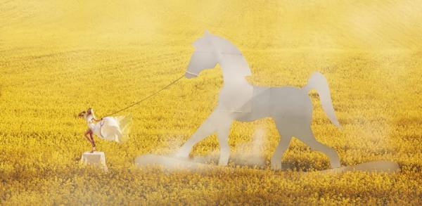Photograph Lorenz Walter Rocking Horse Spring Edition on One Eyeland