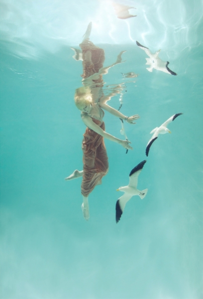 Photograph Mallory Morrison Seagulls on One Eyeland