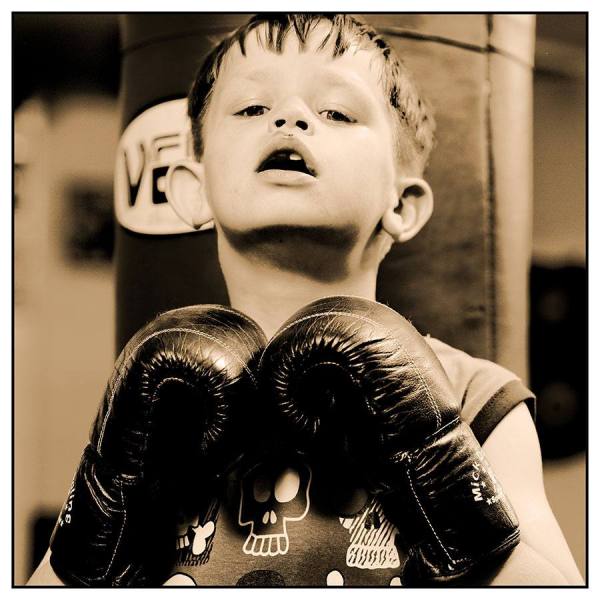 Photograph Shane Mccarthy The Contender on One Eyeland