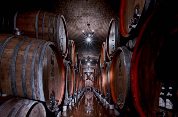 Photograph Massimo Dallaglio Winery And Barrels on One Eyeland