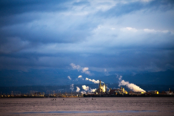 Photograph Ric Peterson Orcas And Industry on One Eyeland