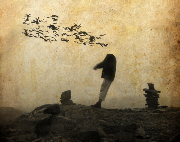 Photograph Kaveh Hosseini Nordic Mind on One Eyeland