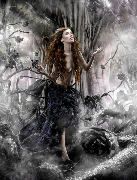 Photograph Iombi Garcia Black Roses on One Eyeland