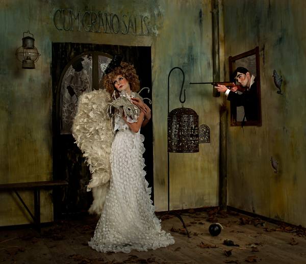 Photograph Peter Kemp Bird on One Eyeland