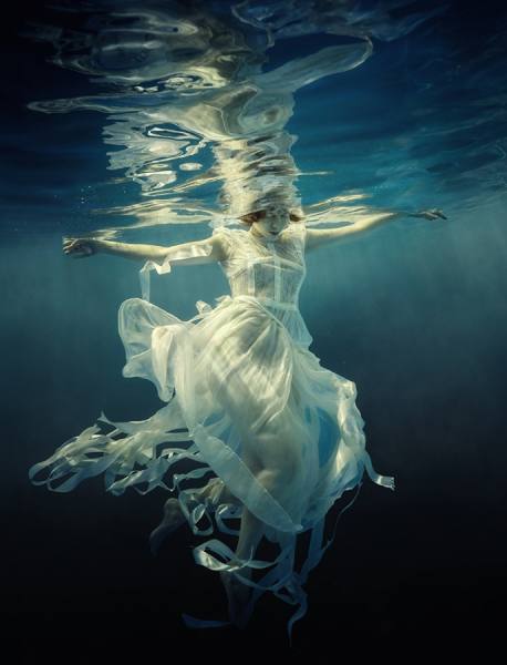 Photograph Dmitry Laudin Jellyfish on One Eyeland