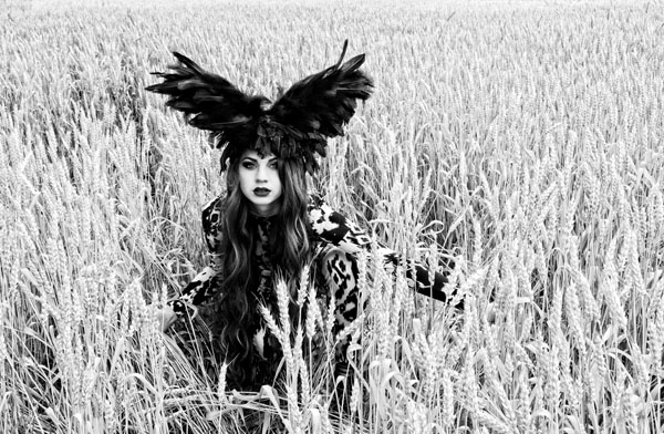 Photograph Michele Taras Crow In The Field on One Eyeland
