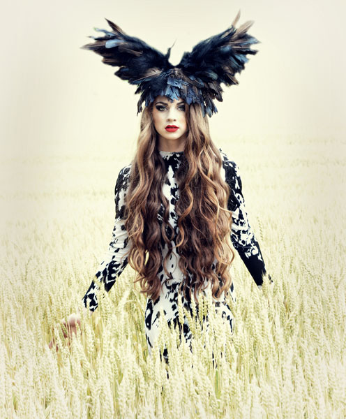 Photograph Michele Taras Crow Walking Forward on One Eyeland