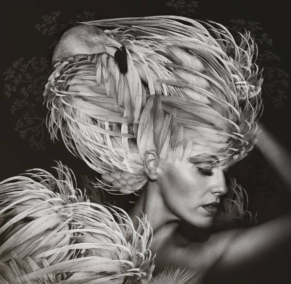 Photograph Lee Howell Fashion And Feathers on One Eyeland