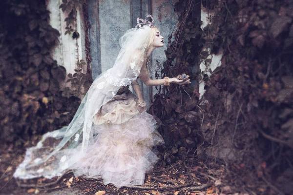 Photograph Graham Mitchell Gothic on One Eyeland