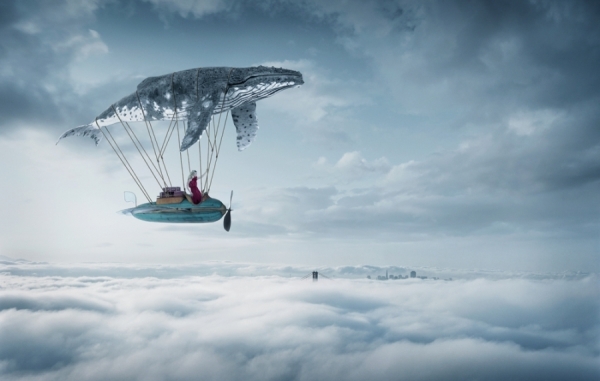 Photograph Erik Almas Maggie Rizer Whale on One Eyeland