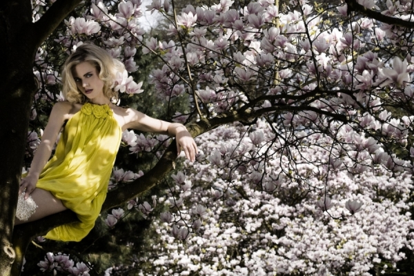 Photograph Carsten Witte Magnolia on One Eyeland