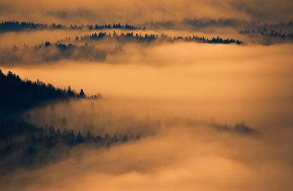 Photograph Smith Joe My Photos on One Eyeland
