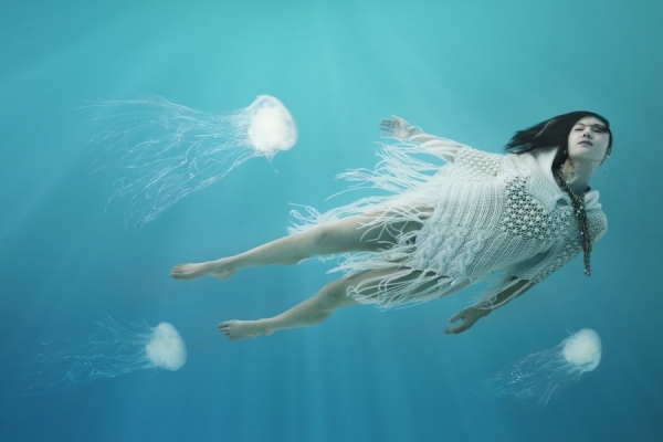 Photograph Erich Valo Pacific Sea Nettles on One Eyeland