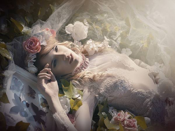 Photograph Rebeca Saray Sleeping Butterfly on One Eyeland