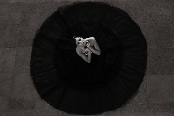 Photograph Martin Krystynek Swan on One Eyeland