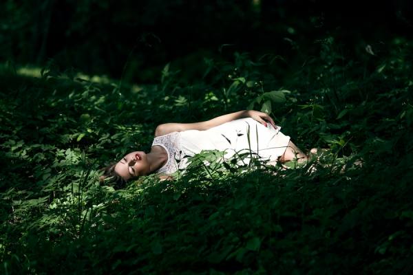Photograph Martin Krystynek Swan on One Eyeland