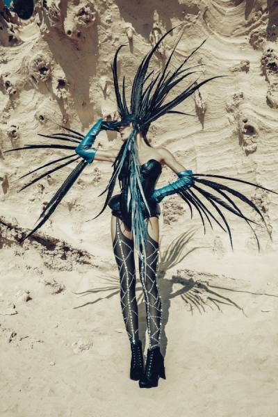 Photograph Luis Beltran West Bird on One Eyeland