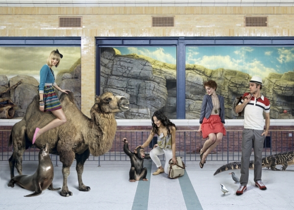 Photograph Todd Baxter Zoo on One Eyeland