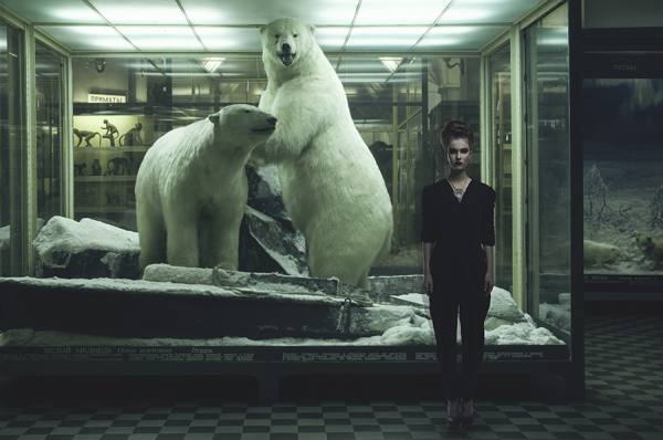 Photograph Sergei Tatarskikh Zoology_1 on One Eyeland