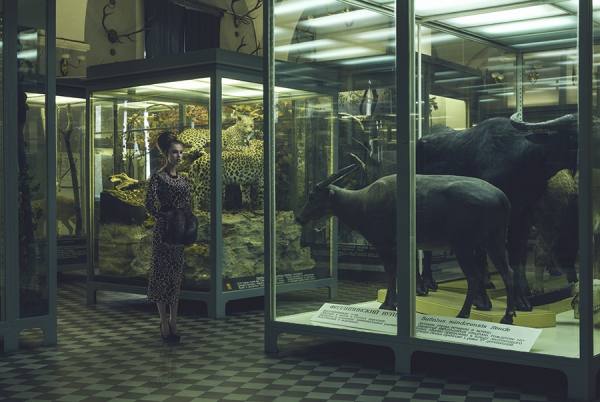 Photograph Sergei Tatarskikh Zoology on One Eyeland