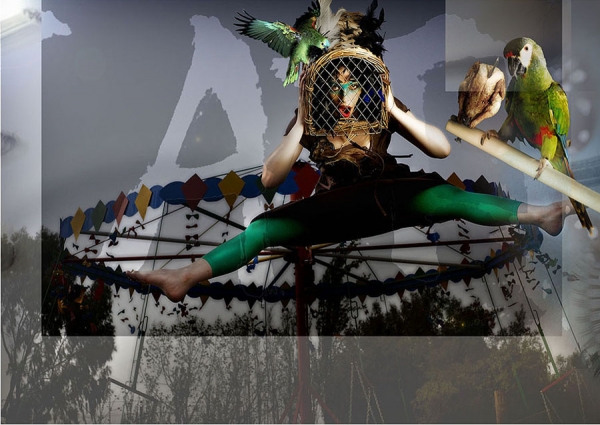 Photograph Michael Edwards Must Lust Bird Cage on One Eyeland
