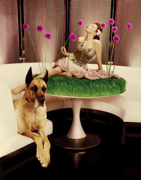 Photograph Jill Wachter Magic on One Eyeland