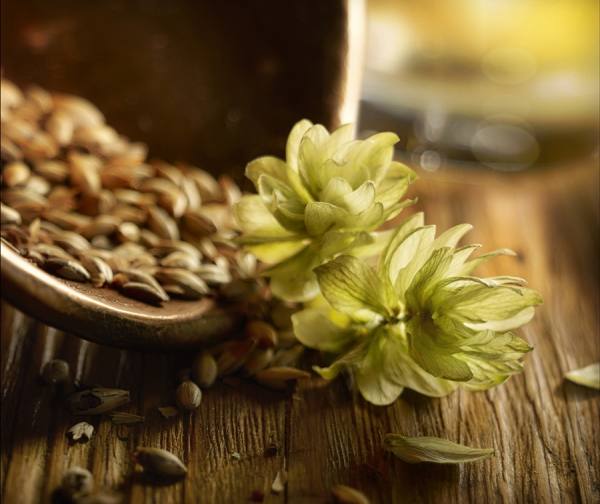 Photograph Greg Stroube Beer Ingredients on One Eyeland