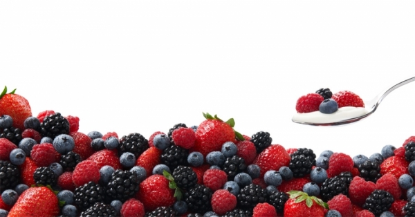 Photograph Andy Lewis Berry Yogurt Packaging on One Eyeland