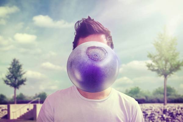Photograph Juan Edwards Blueberry on One Eyeland