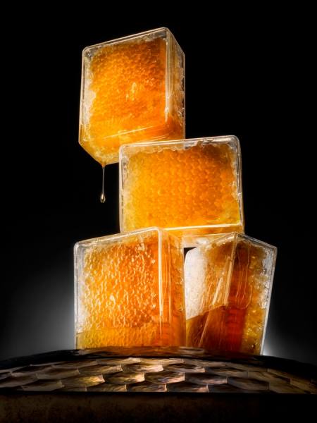 Photograph Joe Felzman Boxed Honey Comb on One Eyeland