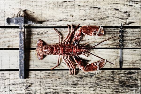 Photograph Nando Esteva Carpinteria De Mariscos on One Eyeland