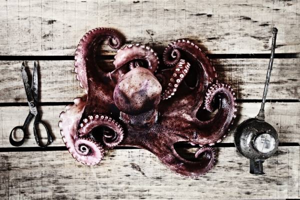 Photograph Nando Esteva Carpinteria De Mariscos on One Eyeland