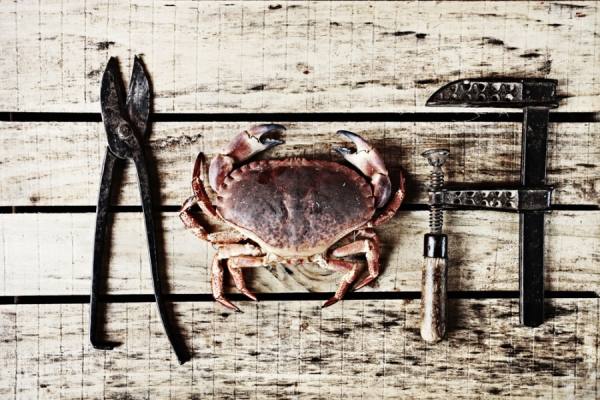 Photograph Nando Esteva Carpinteria De Mariscos on One Eyeland