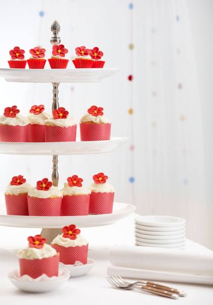 Photograph Jules Tahan Cup Cakes on One Eyeland