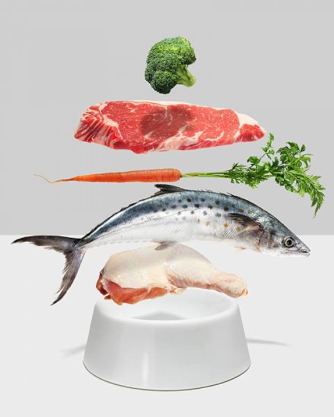 Photograph John Kuczala Dogfood on One Eyeland