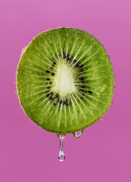 Photograph Hank Drew Kiwi on One Eyeland