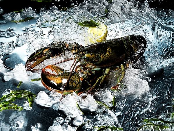 Photograph Axel Waldecker Lobster_1 on One Eyeland
