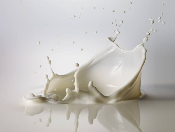 Photograph Ray Massey Milk on One Eyeland