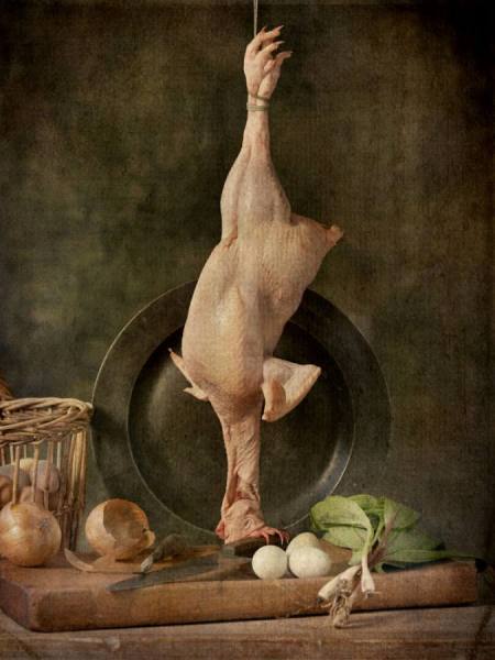 Photograph Natasha Nicholson Natnic_chicken on One Eyeland