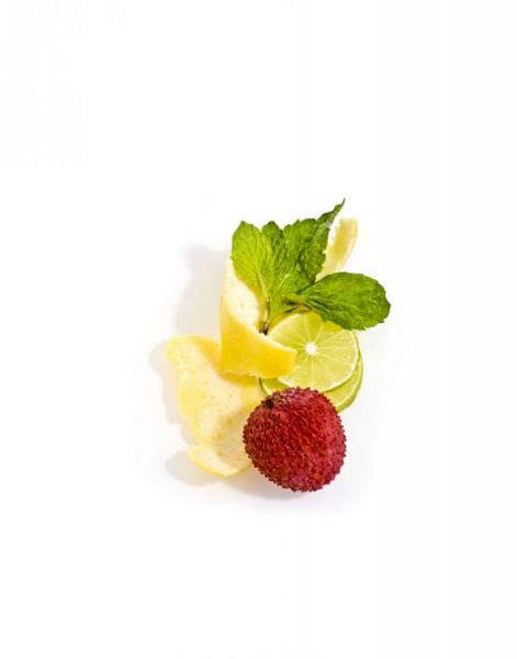 Photograph Natasha Nicholson Natnic_garnish on One Eyeland