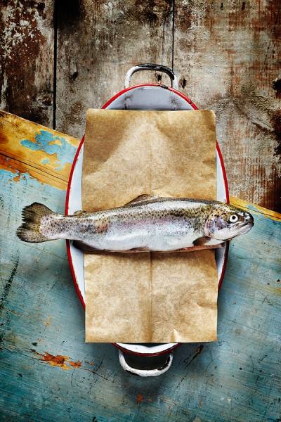 Photograph James Ross Rainbow Trout on One Eyeland