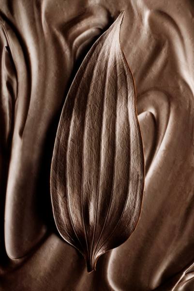 Photograph Kris Shopov Sweet Leaf on One Eyeland