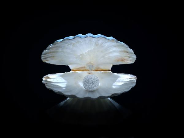 Photograph Heinz Baumann Sweet Pearl on One Eyeland